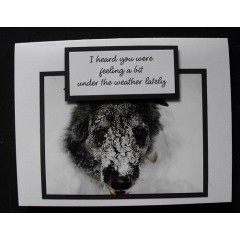 Dog Get Well Greeting Cards - Bear